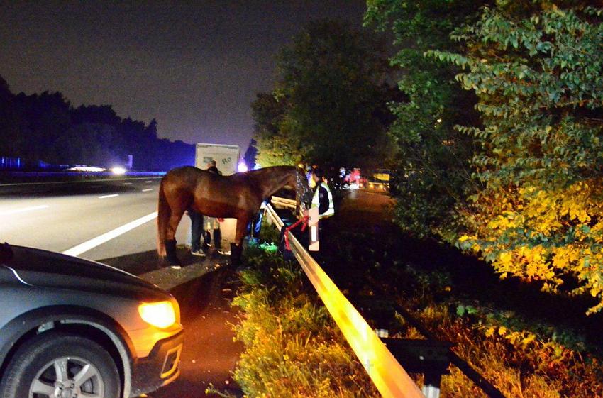 VU A3 Rich Koeln AS Lohmar Rastplatz Koenigsforst  P53.jpg